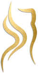 The Dream Body By J Logo